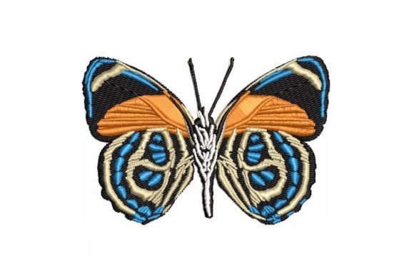 Callicaore Butterfly Embroidery