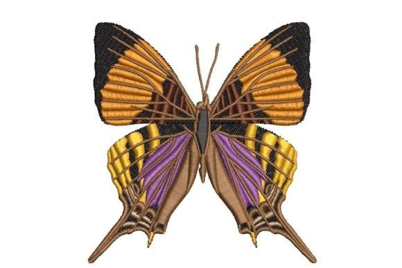 Marpesia Butterfly Embroidery